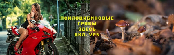 амф Абдулино