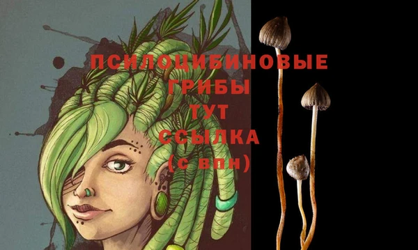 mdpv Абаза