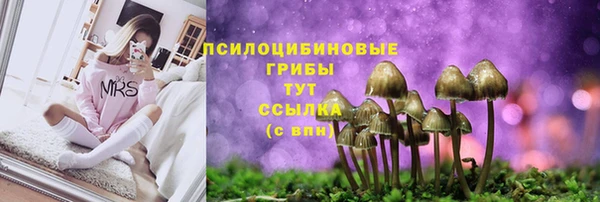 дживик Абинск