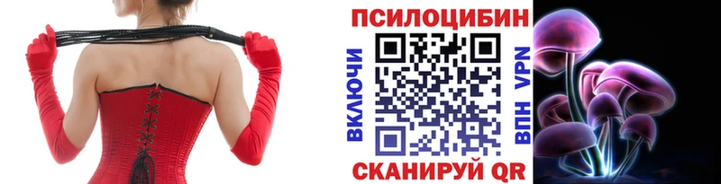 купить сайты Новоалтайск Галлюциногенные грибы GOLDEN TEACHER